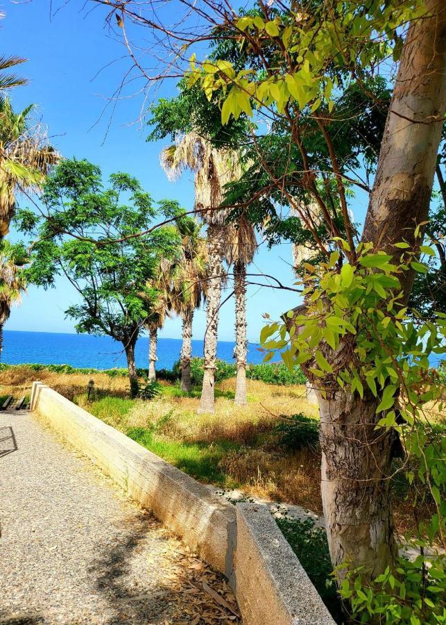 Villa Aphrodite By The Sea Paphos Exteriör bild